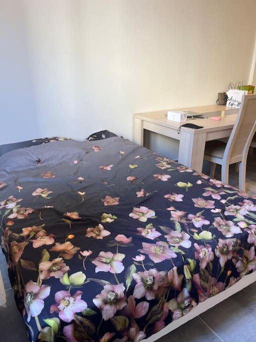 Nice : Magnifique Appartement En Centre Ville ! エクステリア 写真